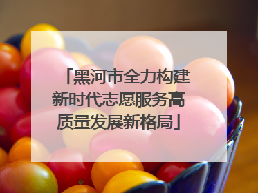 黑河市全力构建新时代志愿服务高质量发展新格局